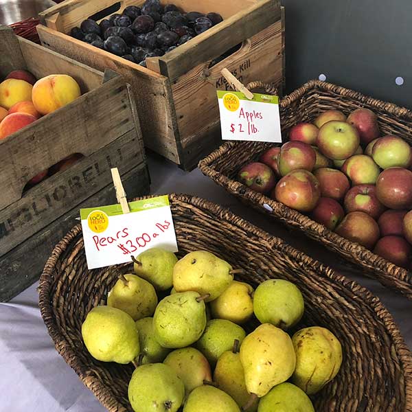 Apples available at the farm store