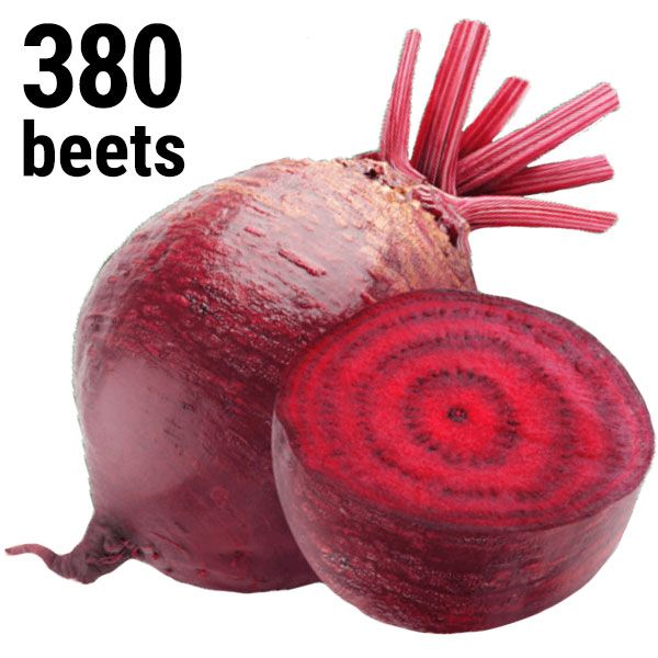 GTC youth grew and harvested 380 beets